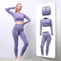 Seamless Yoga Set 1-HZ-810